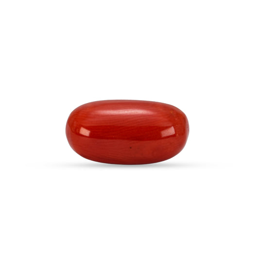 5.85 Carat Natural Coral (Moonga) Gemstone - 30/08-175