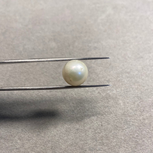 8.13 Carat Natural South Sea Pearl - Sachcha Moti - Lab Certified