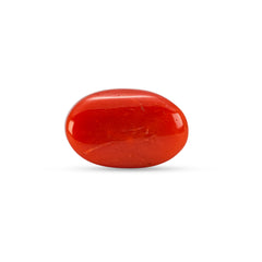6.28 Carat Natural Coral (Moonga) Gemstone - 23/08-141