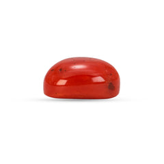 6.28 Carat Natural Coral (Moonga) Gemstone - 23/08-141