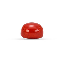 5.15 Carat Natural Coral (Moonga) Gemstone - 23/08-144
