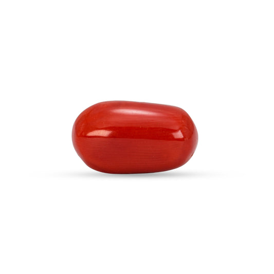 6.58 Carat Natural Coral (Moonga) Gemstone - 23/08-145