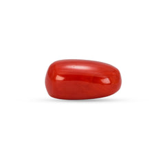 6.58 Carat Natural Coral (Moonga) Gemstone - 23/08-145
