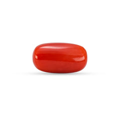5.30 Carat Natural Coral (Moonga) Gemstone - 23/08-146