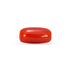 5.30 Carat Natural Coral (Moonga) Gemstone - 23/08-146