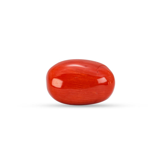 5.41 Carat Natural Coral (Moonga) Gemstone - 23/08-147