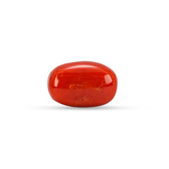 5.41 Carat Natural Coral (Moonga) Gemstone - 23/08-147
