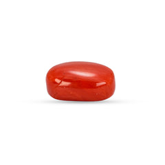5.41 Carat Natural Coral (Moonga) Gemstone - 23/08-147