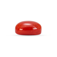 6.05 Carat Natural Coral (Moonga) Gemstone - 23/08-150