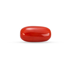 5.79 Carat Natural Coral (Moonga) Gemstone - 30/08-158