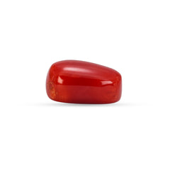 5.71 Carat Natural Coral (Moonga) Gemstone - 30/08-165
