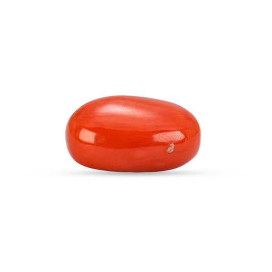 6.30 Carat Natural Coral (Moonga) Gemstone - 30/08-167