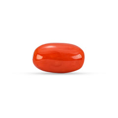 6.30 Carat Natural Coral (Moonga) Gemstone - 30/08-167