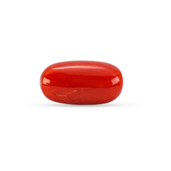 5.58 Carat Natural Coral (Moonga) Gemstone - 30/08-173