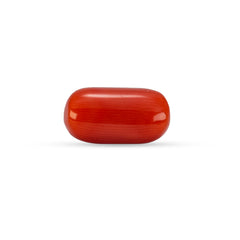 6.44 Carat Natural Coral (Moonga) Gemstone - 30/08-174