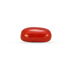 5.85 Carat Natural Coral (Moonga) Gemstone - 30/08-175