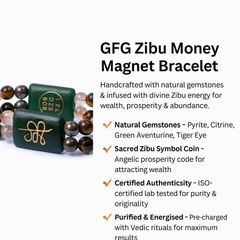 Zibu Money Magnet Bracelet