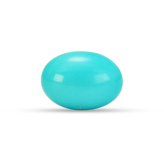 9.04 Carat American Natural Firoza (Turquoise) - 02/09-218