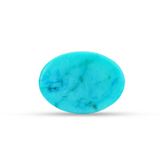 10.43 Carat American Natural Firoza (Turquoise) - 02/09-219
