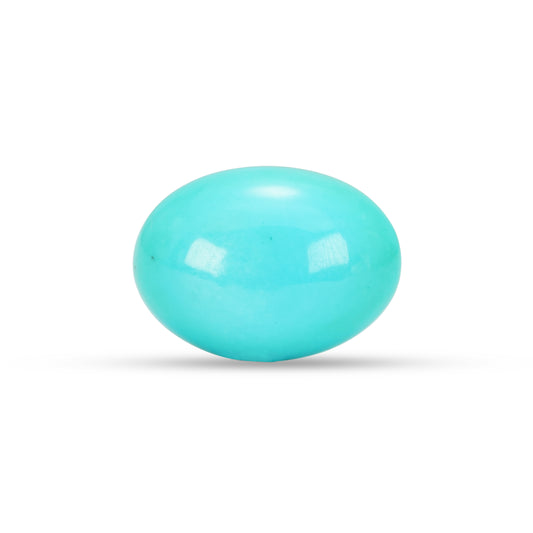 9.81 Carat American Natural Firoza (Turquoise) - 02/09-220