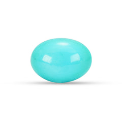 9.81 Carat American Natural Firoza (Turquoise) - 02/09-220