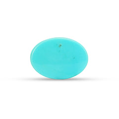 9.81 Carat American Natural Firoza (Turquoise) - 02/09-220
