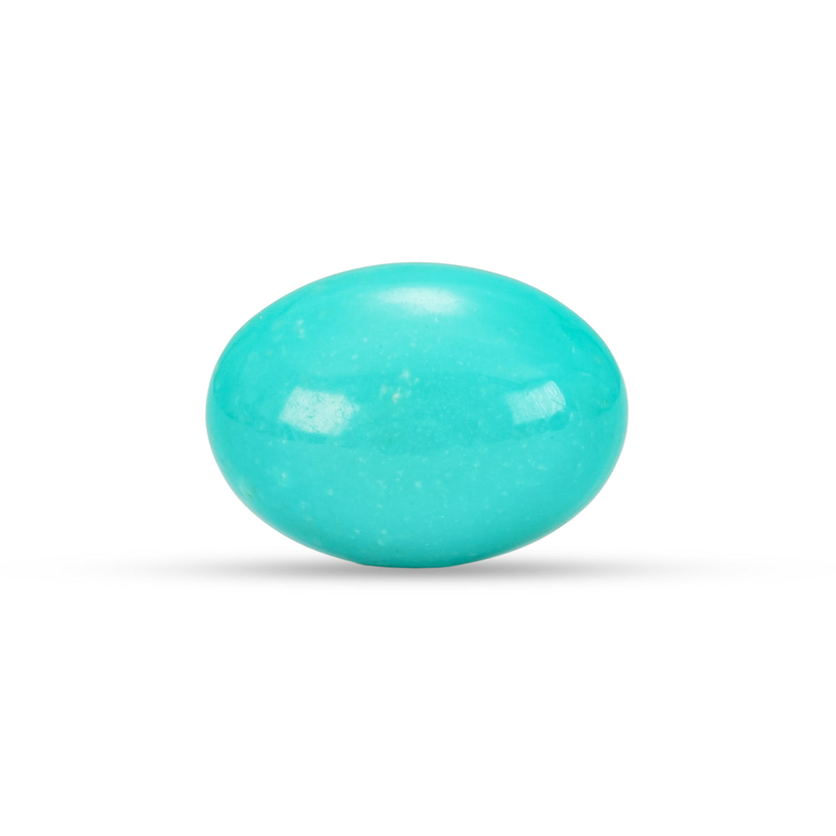 9.35 Carat American Natural Firoza (Turquoise) - 02/09-221