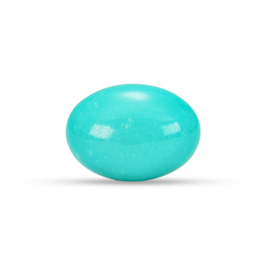 9.35 Carat American Natural Firoza (Turquoise) - 02/09-221