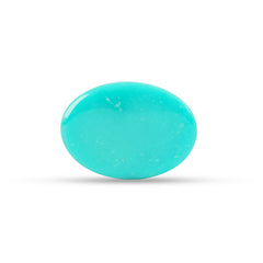9.35 Carat American Natural Firoza (Turquoise) - 02/09-221