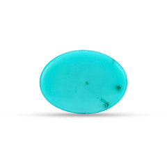 10.80 Carat American Natural Firoza (Turquoise) - 02/09-222