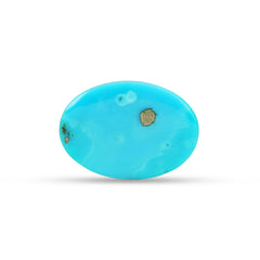 9.31 Carat American Natural Firoza (Turquoise) - 02/09-223