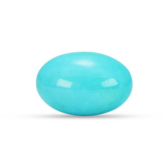18.87 Carat American Natural Firoza (Turquoise) - 02/09-224