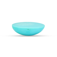 18.87 Carat American Natural Firoza (Turquoise) - 02/09-224
