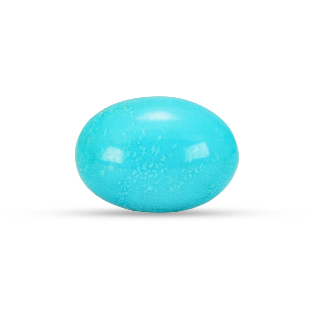 10.15 Carat American Natural Firoza (Turquoise) - 02/09-225