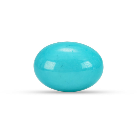 10.44 Carat American Natural Firoza (Turquoise) - 02/09-226