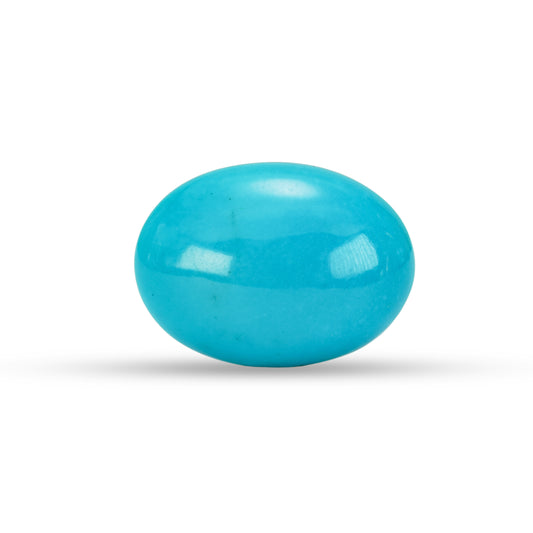 16.93 Carat American Natural Firoza (Turquoise) - 02/09-227