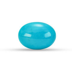 16.93 Carat American Natural Firoza (Turquoise) - 02/09-227