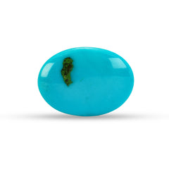 16.93 Carat American Natural Firoza (Turquoise) - 02/09-227
