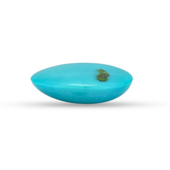 16.93 Carat American Natural Firoza (Turquoise) - 02/09-227