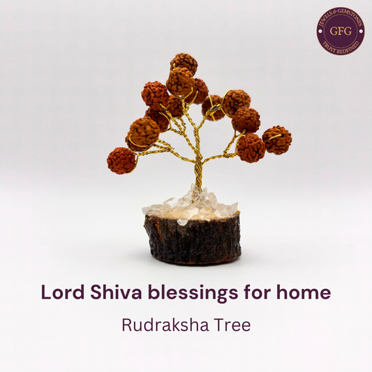 Small Rudraksha Tree