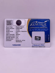 16.43 Carat Natural & Lab-certified Irani Firoza/Turquoise- GT 16200