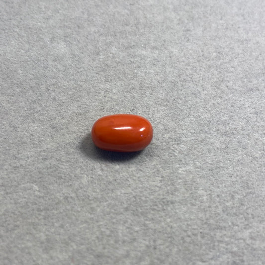 6.84 Carat Natural Red Coral Moonga Oval Shape