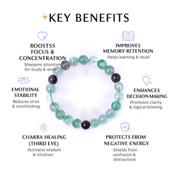 Multi Fluorite Bracelet - Study & Focus