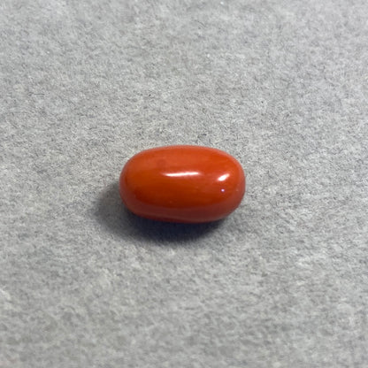 6.84 Carat Natural Red Coral Moonga Oval Shape