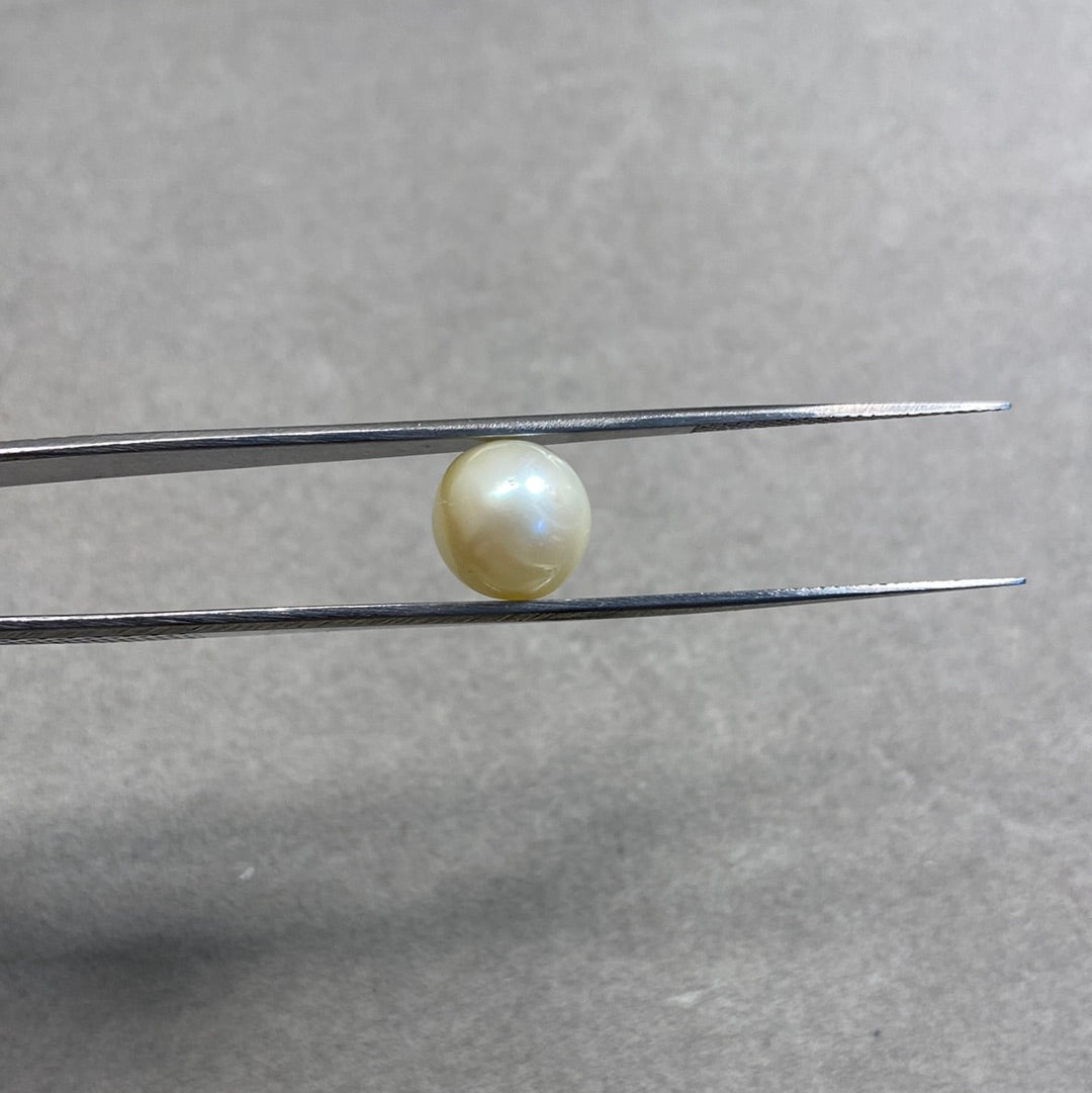 7.9 Carat Natural South Sea Pearl - Sachcha Moti - Lab Certified