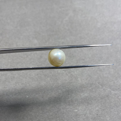 7.9 Carat Natural South Sea Pearl - Sachcha Moti - Lab Certified