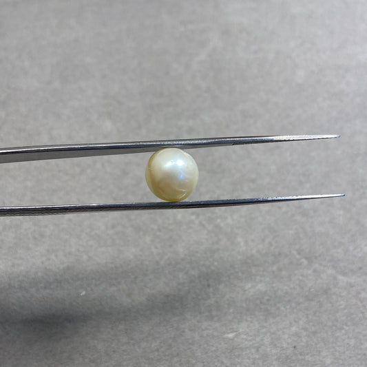 7.9 Carat Natural South Sea Pearl - Sachcha Moti - Lab Certified