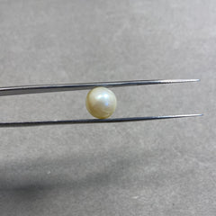 7.9 Carat Natural South Sea Pearl - Sachcha Moti - Lab Certified