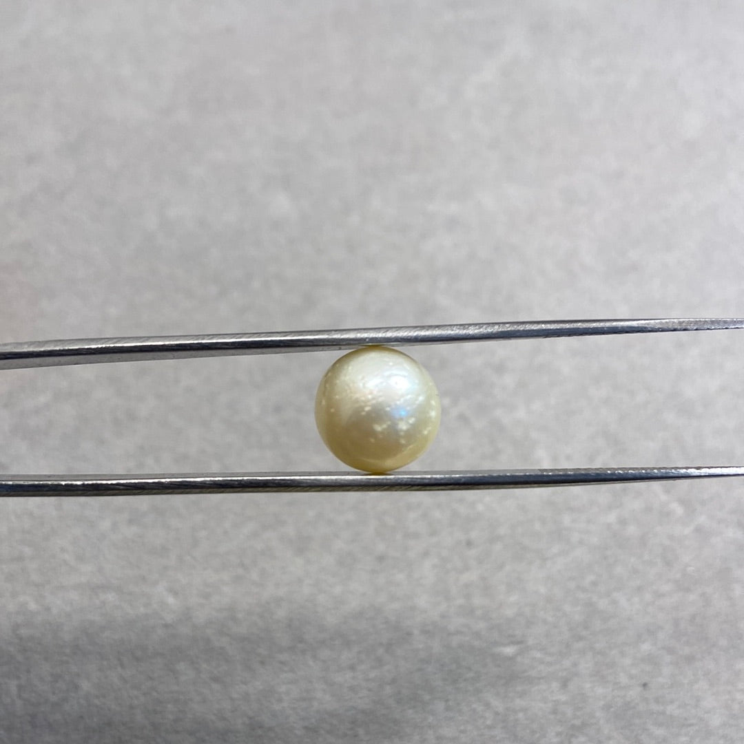 7.83 Carat Natural South Sea Pearl - Sachcha Moti - Lab Certified