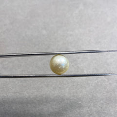 7.83 Carat Natural South Sea Pearl - Sachcha Moti - Lab Certified